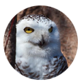TEST ADD TEST ADD